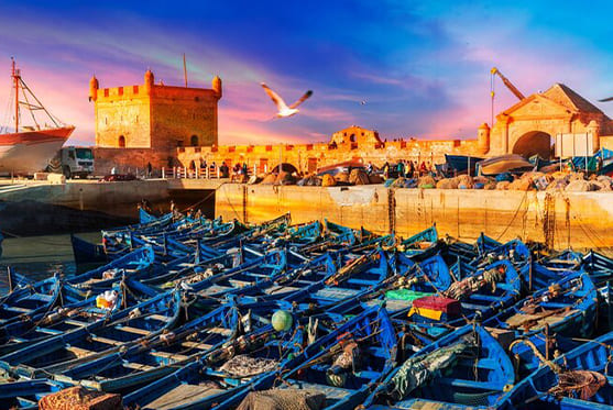 One-day excursion to Essaouira from Marrakech