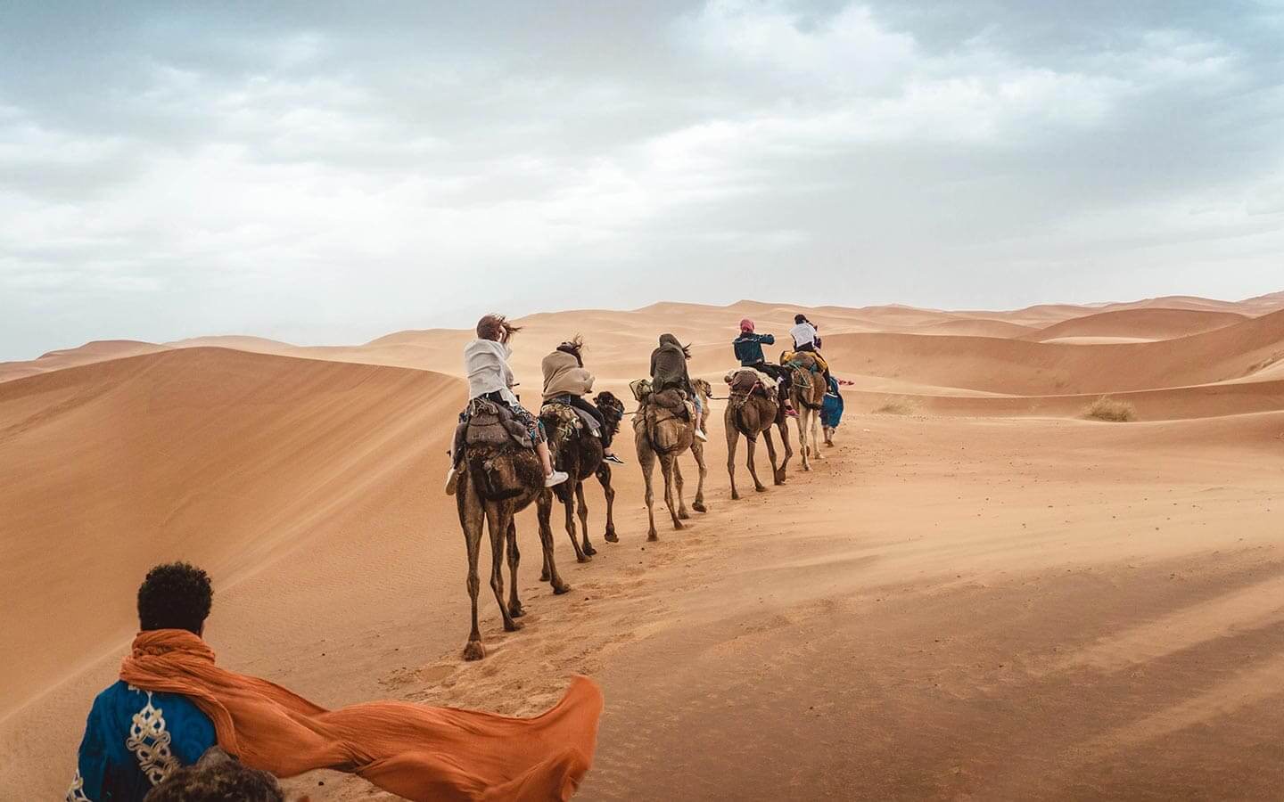 Sahara palm groves - Discover the secret gardens of the desert