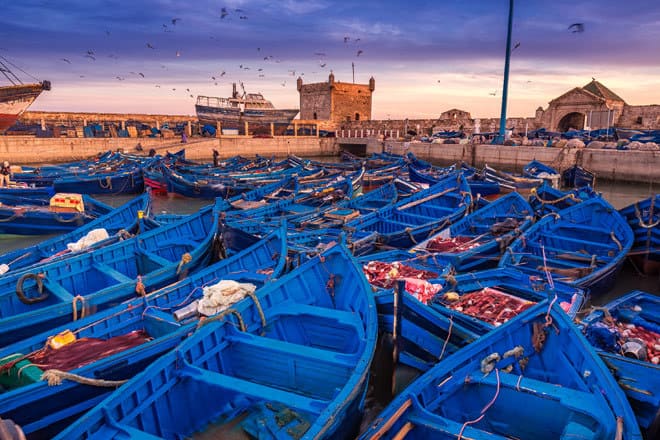 Boat ride along Essaouira coast - Atlantic sunset